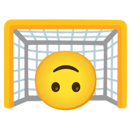 upside-down face and goal net