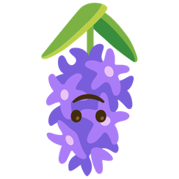 upside-down face and hyacinth