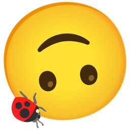 upside-down face and lady beetle