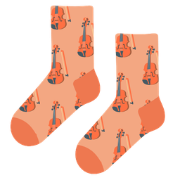 Violin and Socks