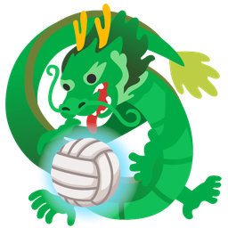 volleyball and dragon