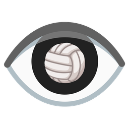 volleyball and eye