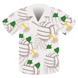 volleyball and hibiscus