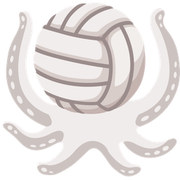 volleyball and octopus
