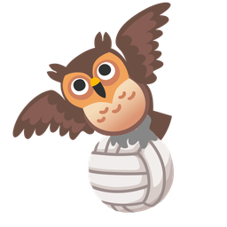 volleyball and owl