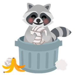 volleyball and raccoon