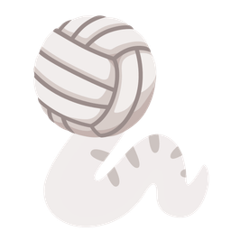 volleyball and snake