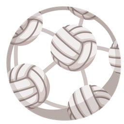 volleyball and soccer ball