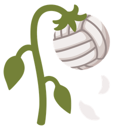 volleyball and wilted flower