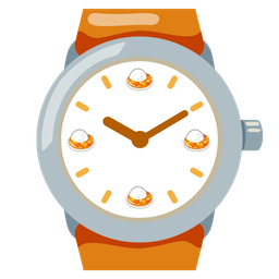 watch and curry rice