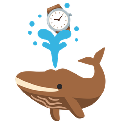 watch and spouting whale