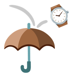 watch and umbrella