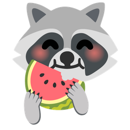 watermelon and raccoon