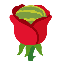 watermelon and rose