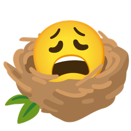 weary face and empty nest