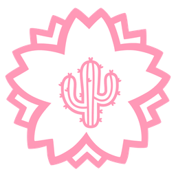 white flower and cactus