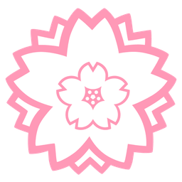 white flower and cherry blossom