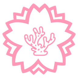 white flower and coral