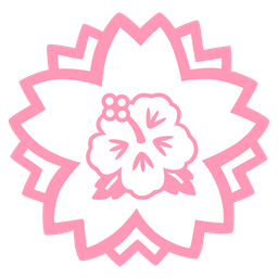 white flower and hibiscus