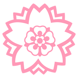 white flower and rosette