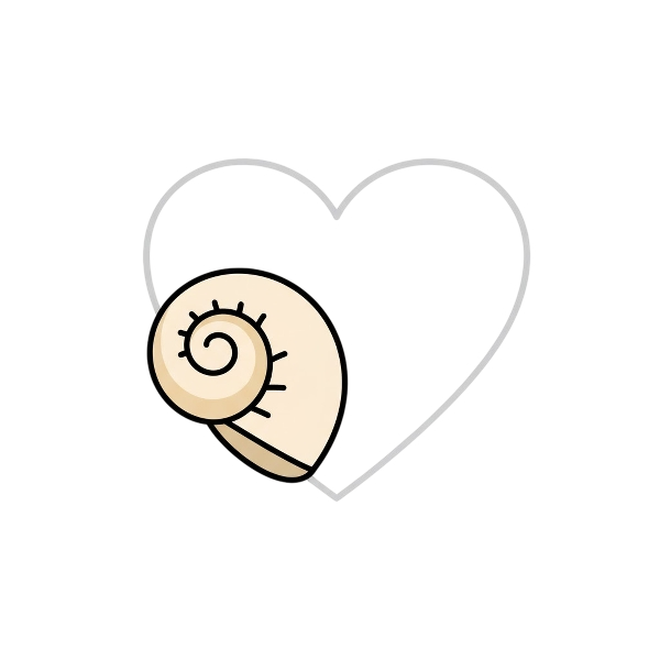 White heart and Spiral shell