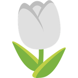 white heart and tulip