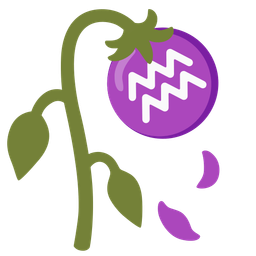 wilted flower and Aquarius