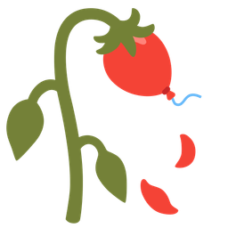 wilted flower and balloon