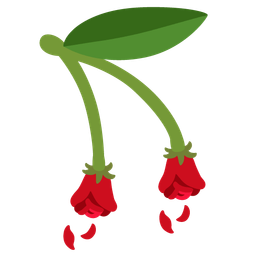 wilted flower and cherries