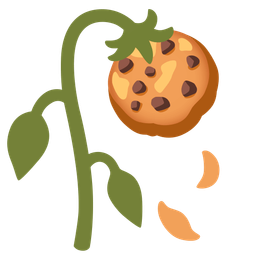 wilted flower and cookie