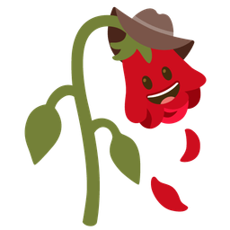 wilted flower and cowboy hat face