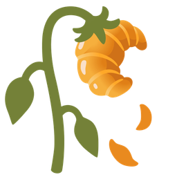 wilted flower and croissant