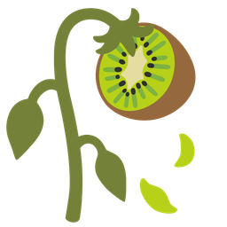 wilted flower and kiwi fruit