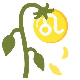 wilted flower and Leo