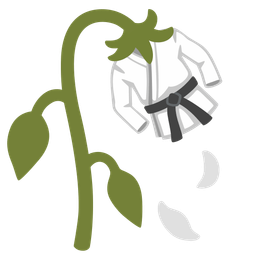 wilted flower and martial arts uniform