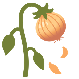 wilted flower and onion