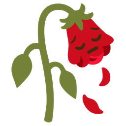 wilted flower and pensive face