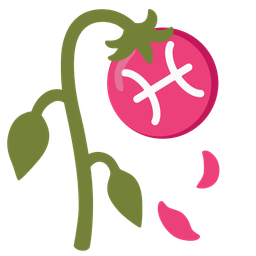 wilted flower and Pisces