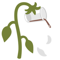 wilted flower and pouring liquid