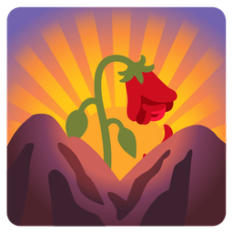 wilted flower and sunrise over mountains