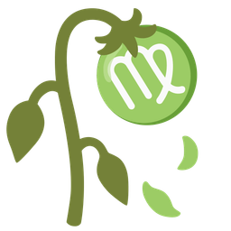 wilted flower and Virgo