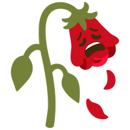 wilted flower and weary face