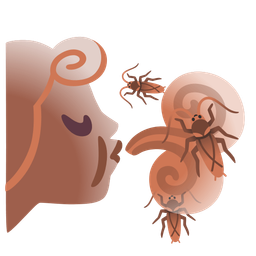 wind face and cockroach