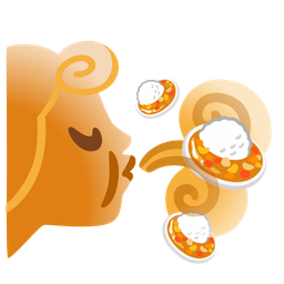 wind face and curry rice