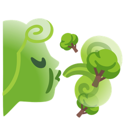 wind face and deciduous tree