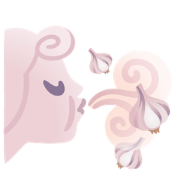 wind face and garlic