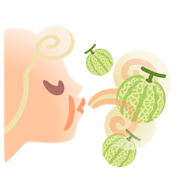 wind face and melon