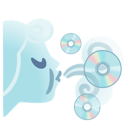 wind face and optical disk