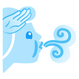 wind face and saluting face