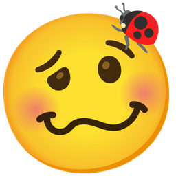 woozy face and lady beetle